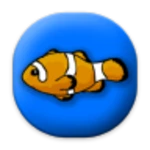 toddler fish android application logo